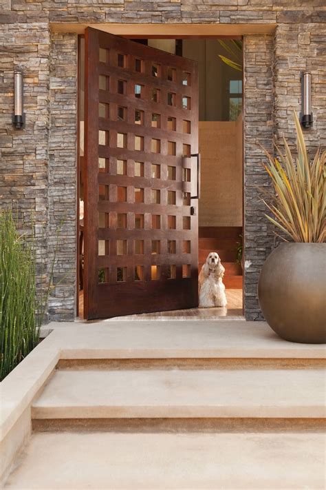 modern front door design ideas